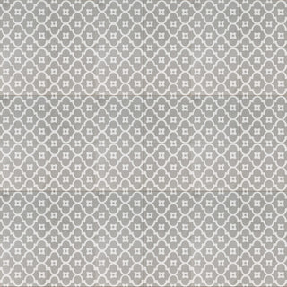 Light Grey Moorish Night