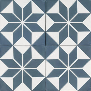 Blue Star Flower - 1