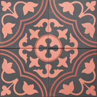 Red and Black Clover - 1