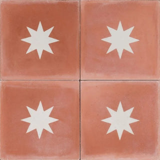 Mexican Pink Star - 1