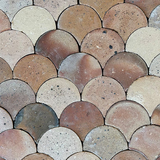 Terracotta Scallops - 1
