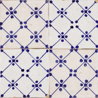 Casablanca Night Flower - 1