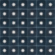 Outdoor Tiles - Mexican Blue Star